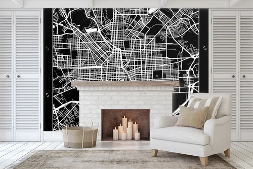 Elegancka mapa Baltimore w monochromatycznych odcieniach