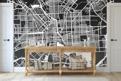 Elegancka mapa Baltimore w monochromatycznych odcieniach