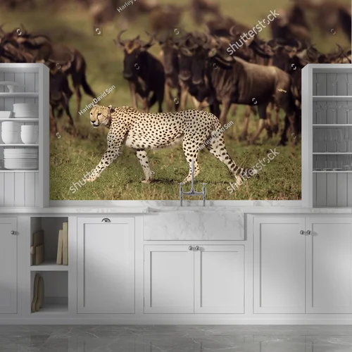Zderzenie z dziką naturą: cheetah na safari