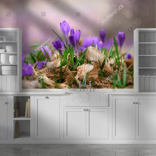 Pojawienie się wiosny w purpurowym blasku