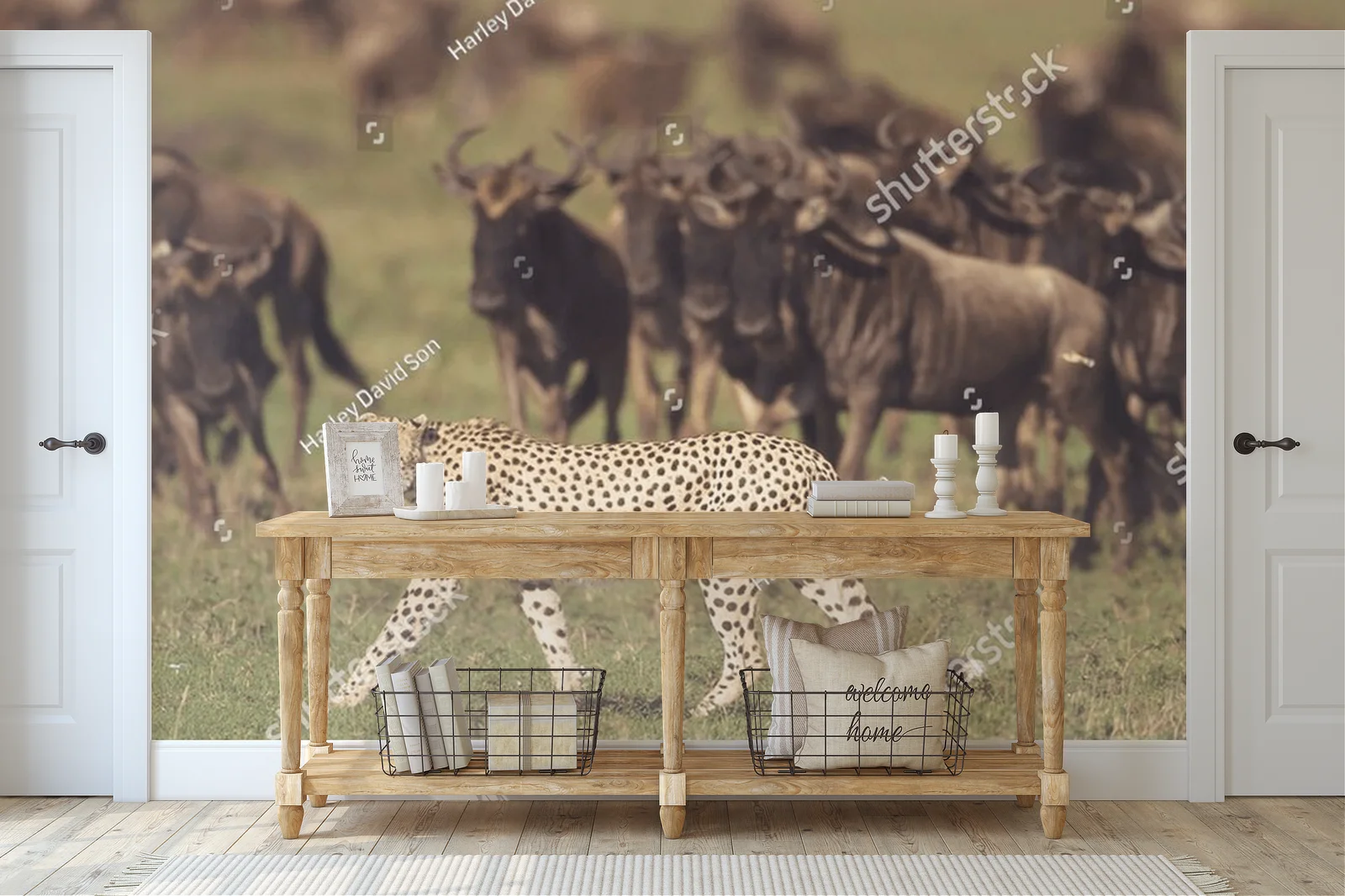 Zderzenie z dziką naturą: cheetah na safari