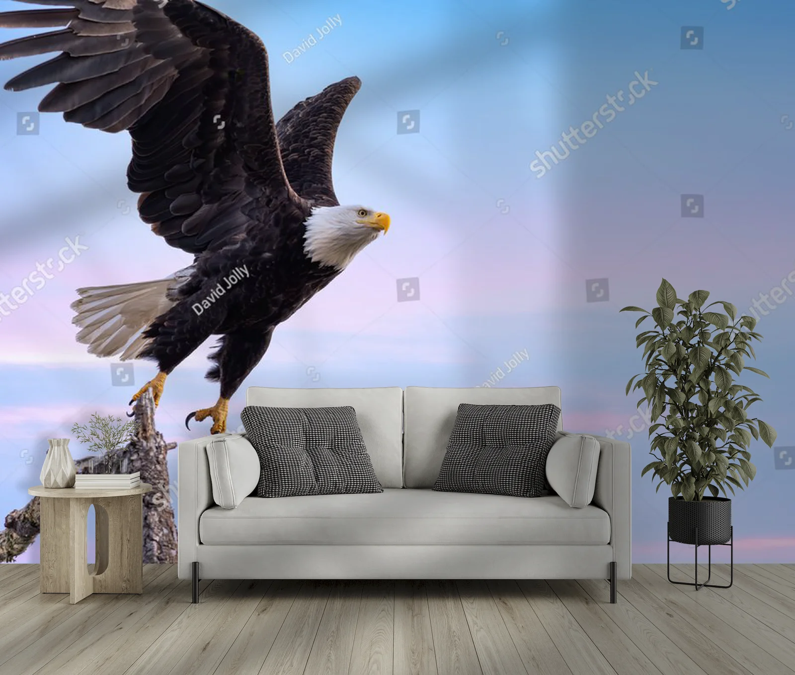 Bald Eagle w majestatycznym locie na niebieskim tle