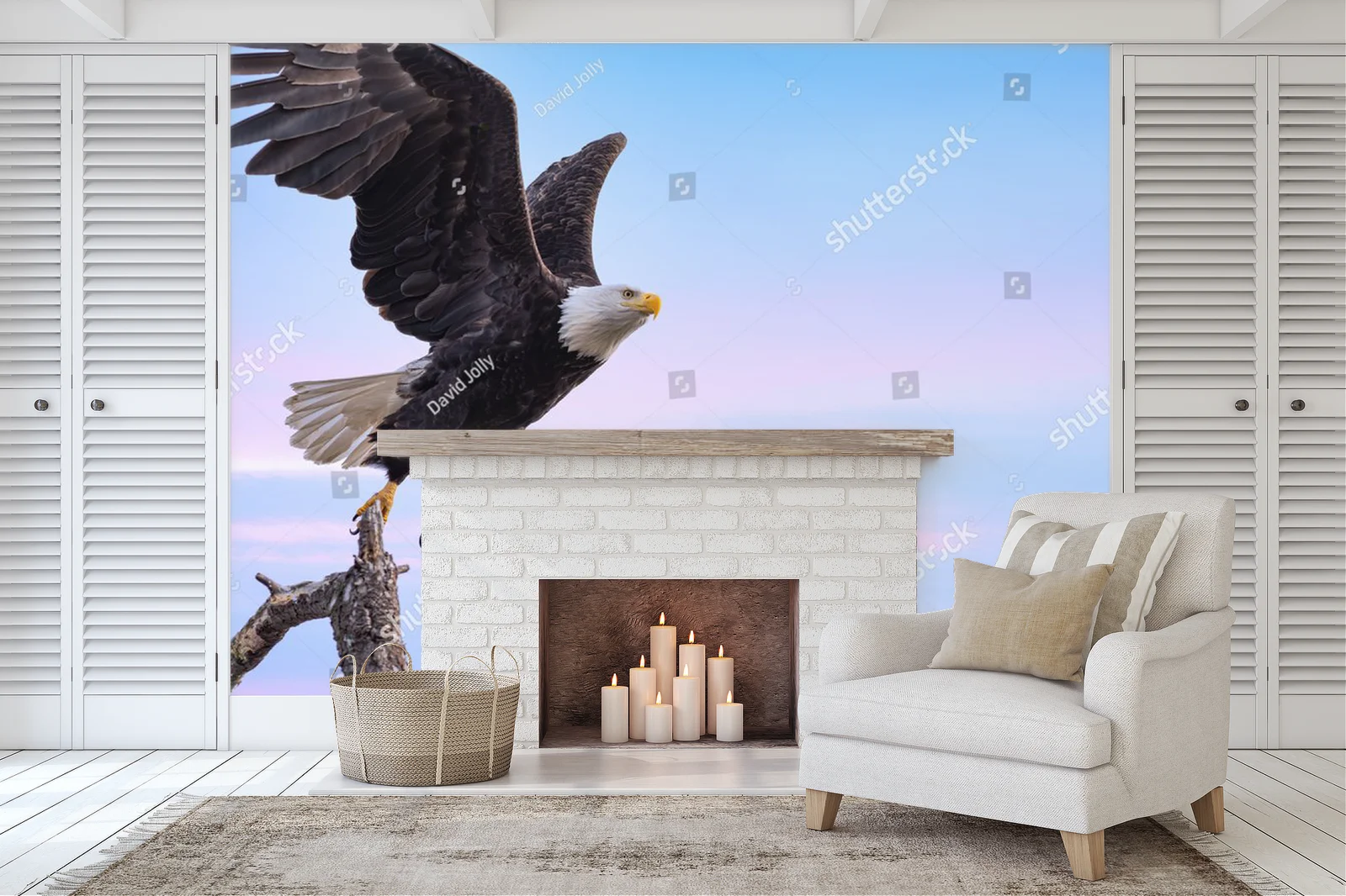 Bald Eagle w majestatycznym locie na niebieskim tle