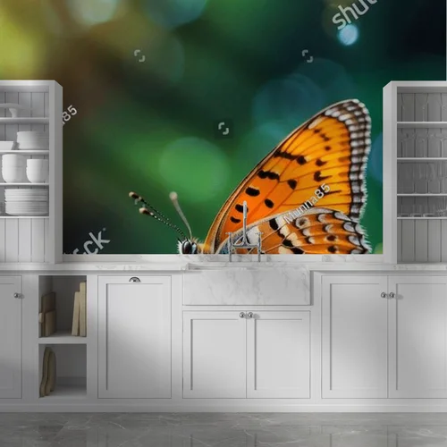 Elegancki motyl w iskrzących odcieniach