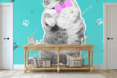 Zabawy z kotem w kolorach pop-art