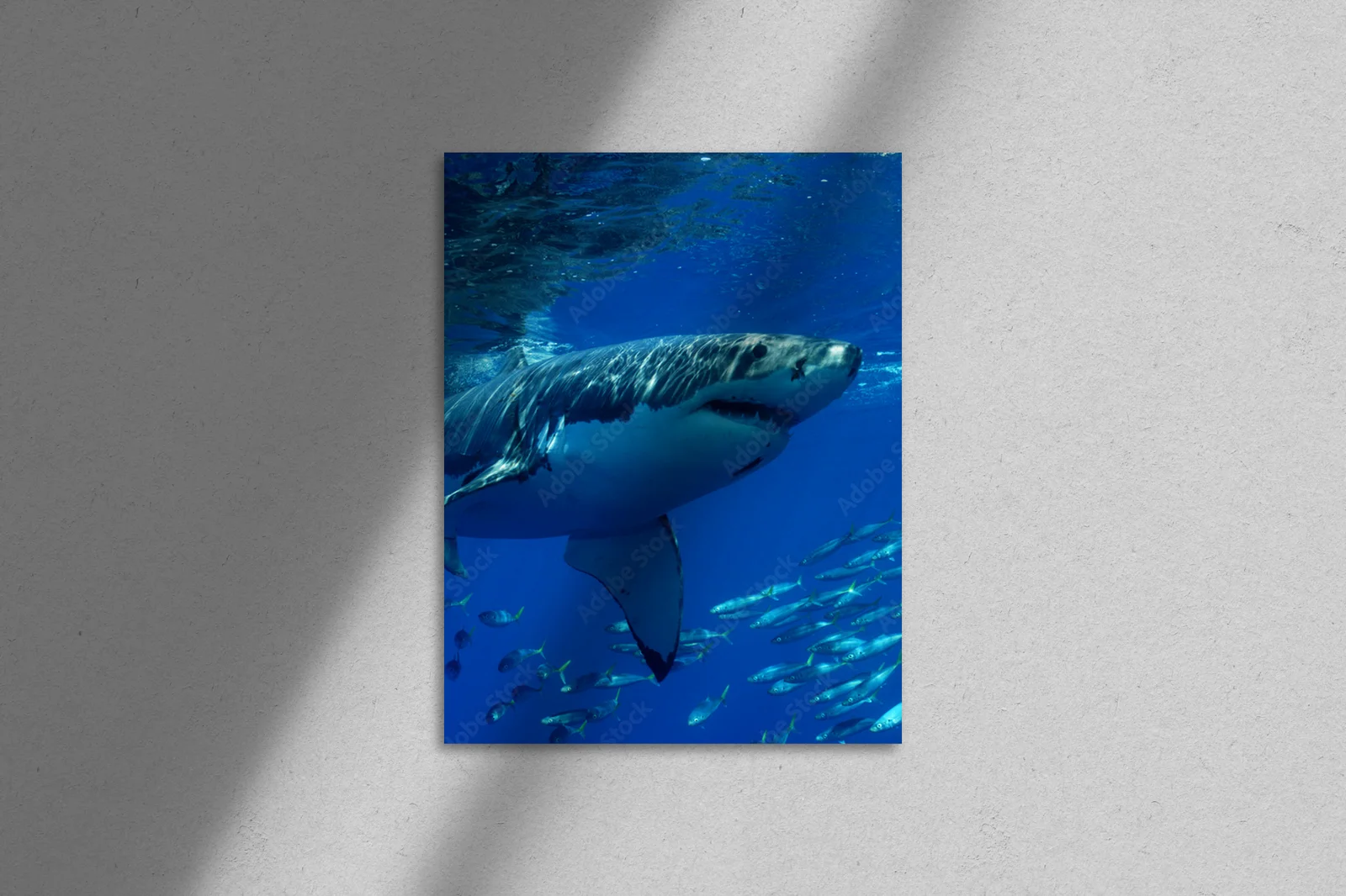 Odkryj majestatyczny ocean w głębokich odcieniach błękitu