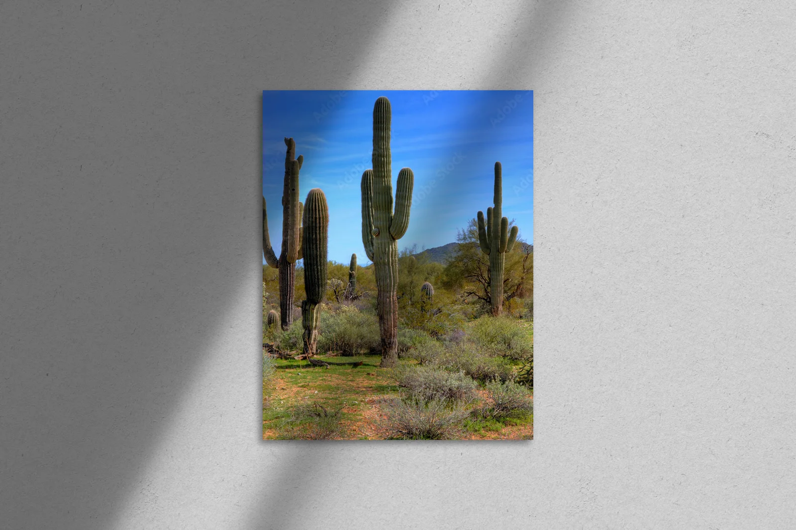 Wielobarwne kaktusy saguaro w wiosennej odsłonie