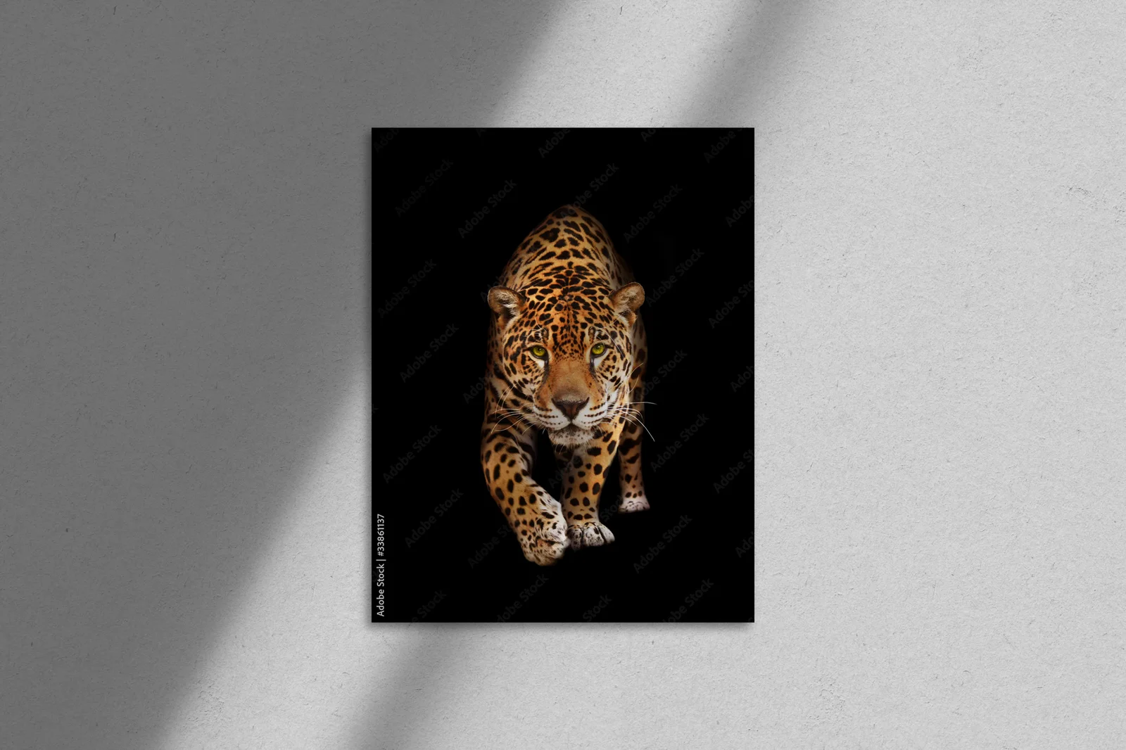 Elegancja czerni: majestatyczny jaguar w mroku