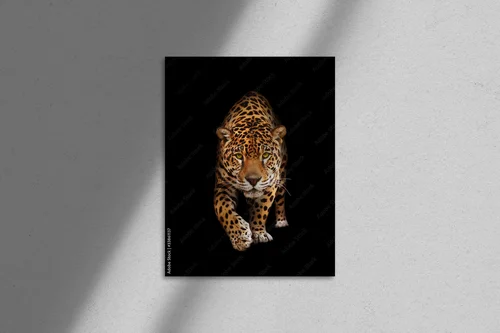 Elegancja czerni: majestatyczny jaguar w mroku