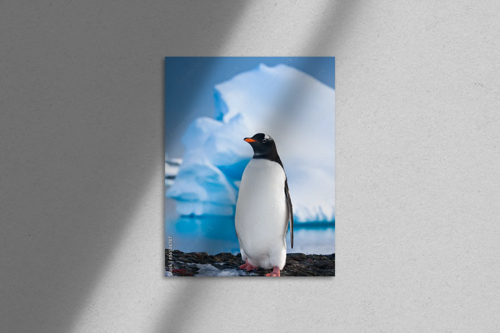Penguin w otoczeniu skalnych majestatów