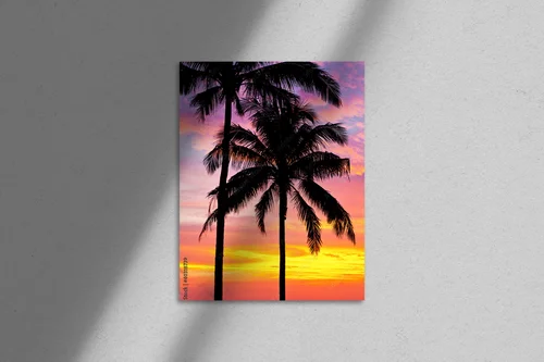 Tropikalny zachód słońca wśród palm