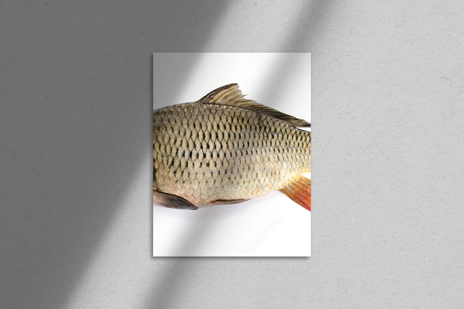 Eleganckie linie – naturalne piękno w bieli