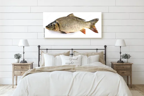 Eleganckie linie – naturalne piękno w bieli