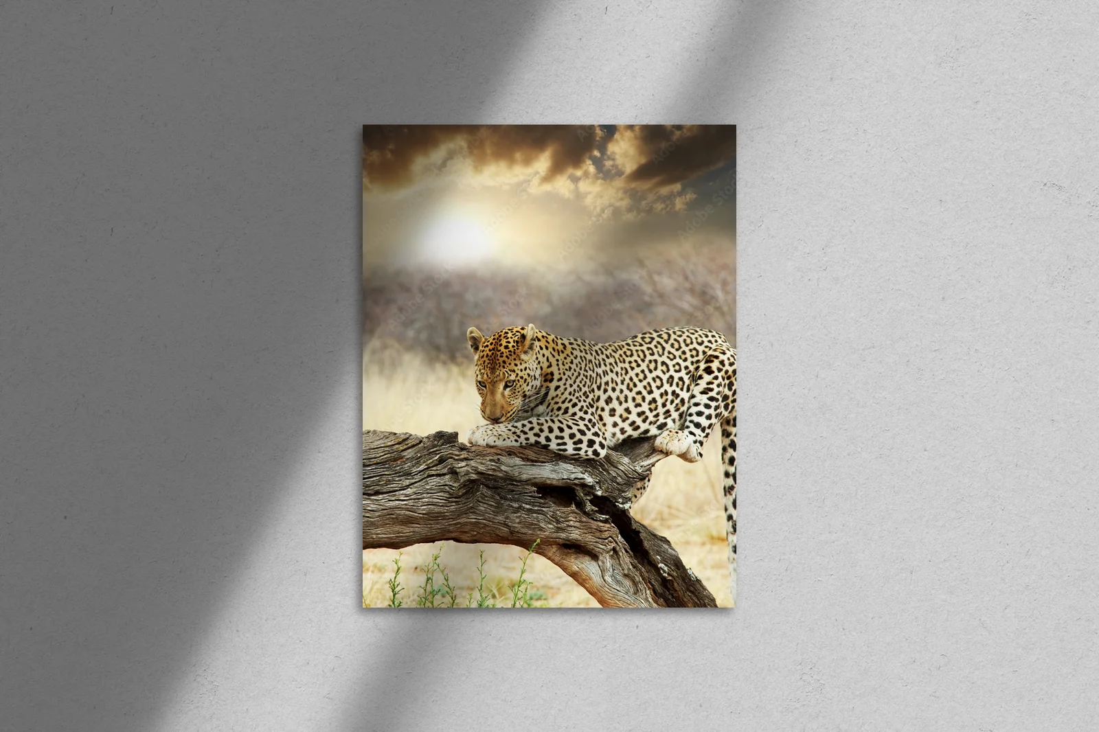 Elegancki leoparda w delikatnych odcieniach