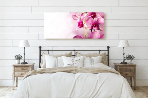 Egzotyczne orchidee w delikatnych barwach