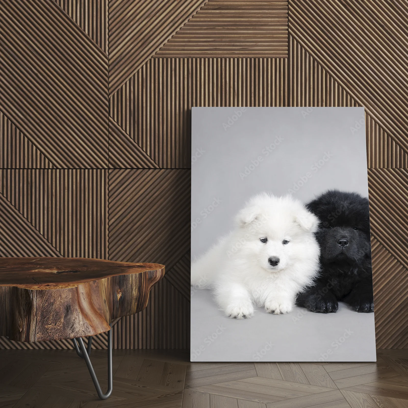 Urocze szczenięta Chow Chow i Samoyed w szarościach