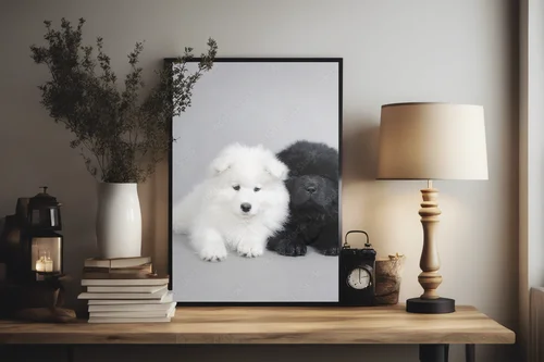 Urocze szczenięta Chow Chow i Samoyed w szarościach