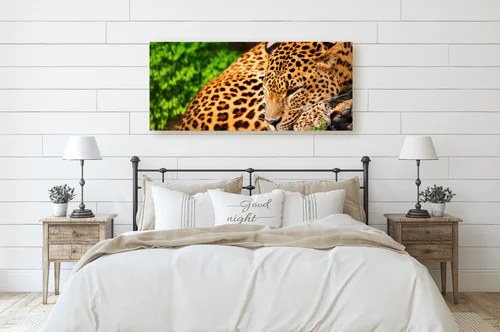 Wspaniałe leopardy w afrykańskiej dziczy