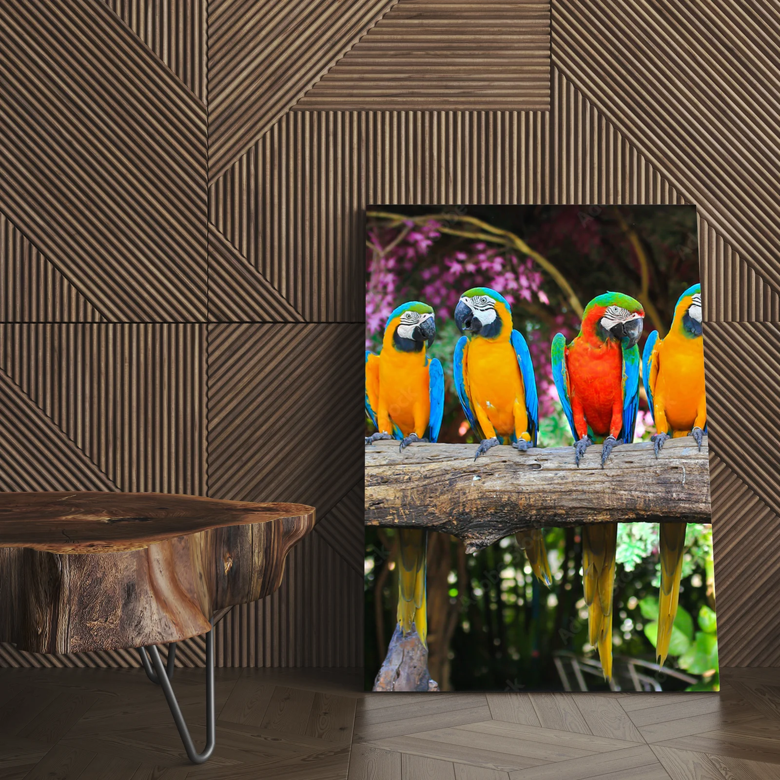 Tropikalne macaw w zachwycających kolorach