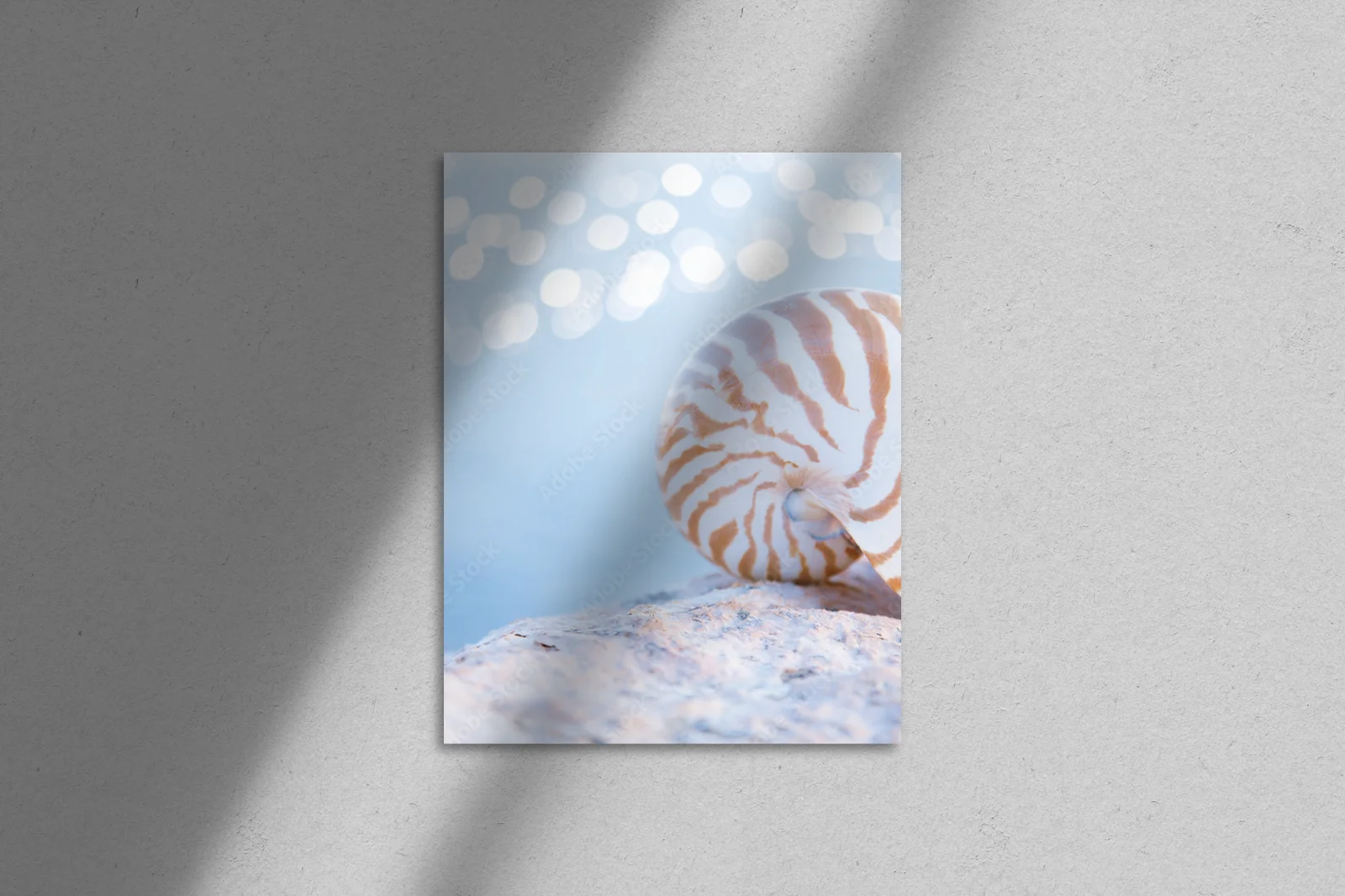 Nautilus i poranna magia oceanu