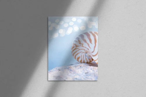Nautilus i poranna magia oceanu