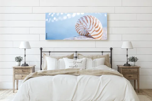 Nautilus i poranna magia oceanu