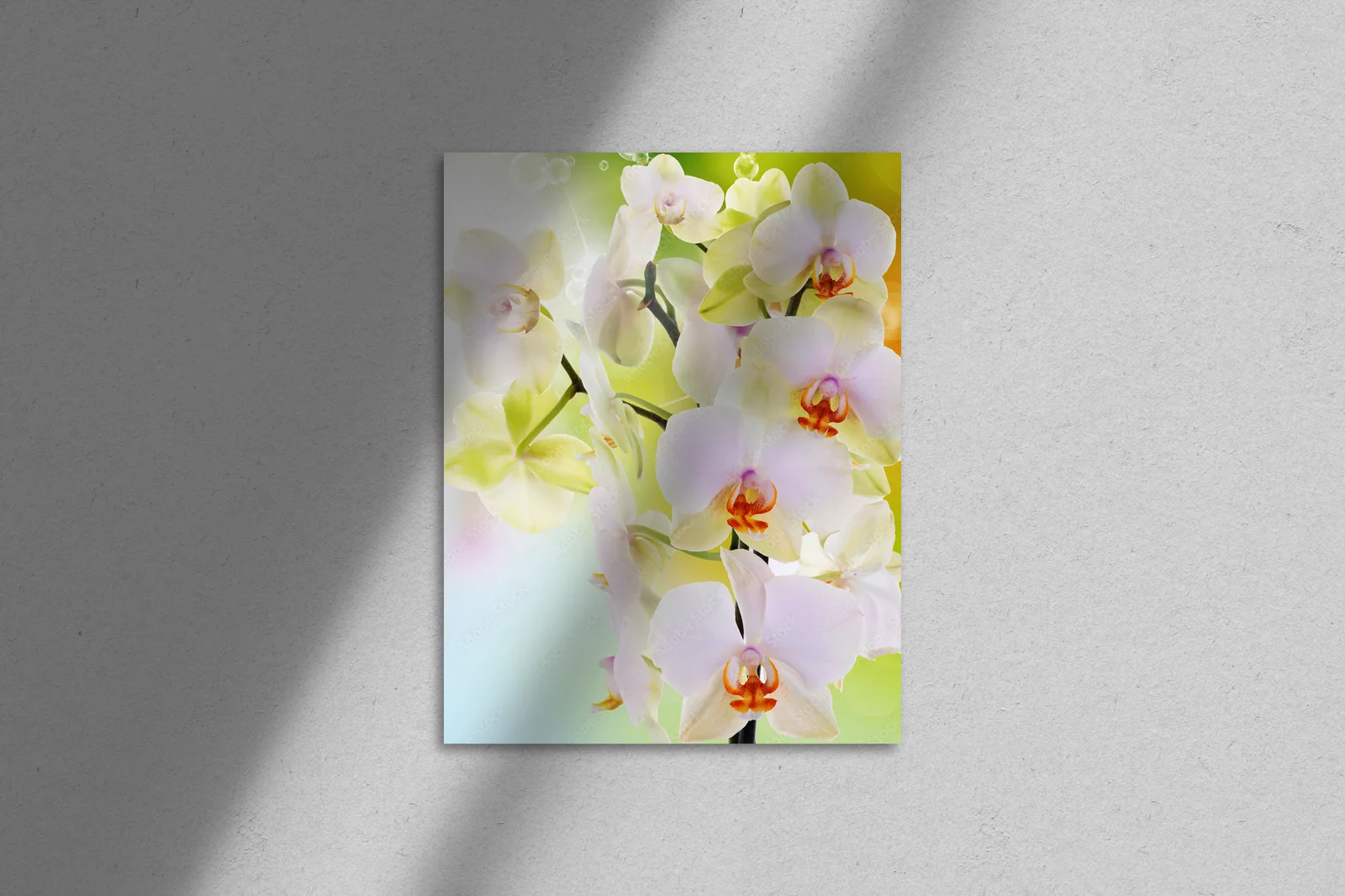 Orchidee i ich delikatna, kwitnąca elegancja