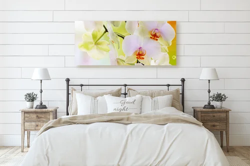 Orchidee i ich delikatna, kwitnąca elegancja