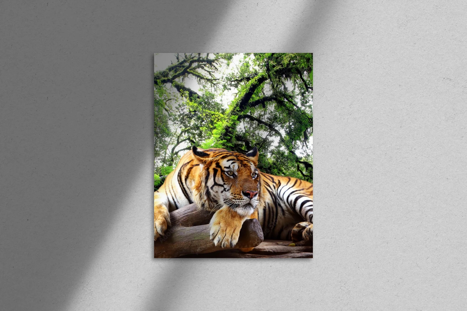 Wielkie felidae w tropikalnym raju