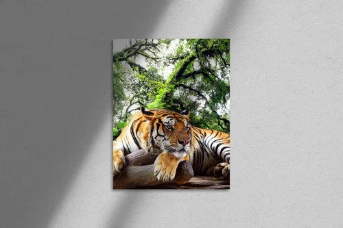 Wielkie felidae w tropikalnym raju