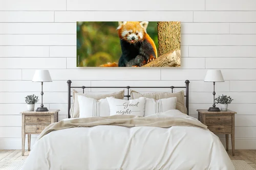 Uroczy red panda w głębi leśnych barw