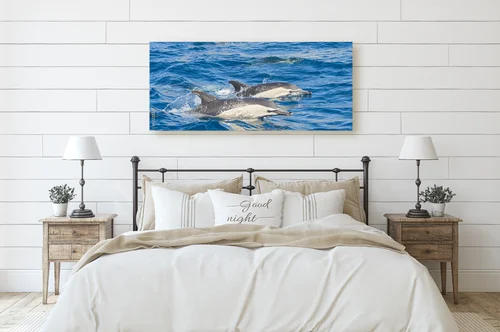 Delfiny w błękicie oceanu – esencja natury