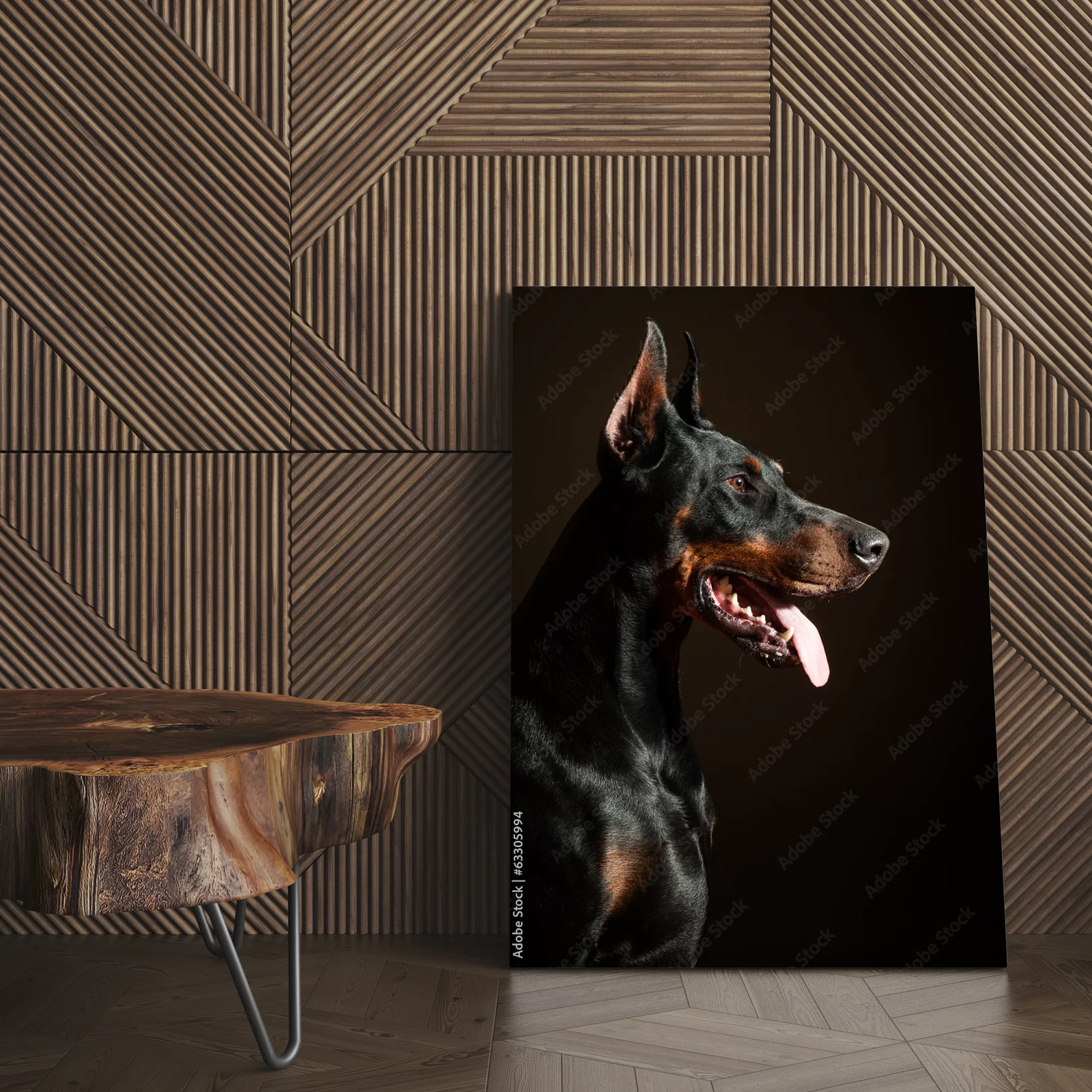 Potężny Dobermann w intensywnych odcieniach czerni