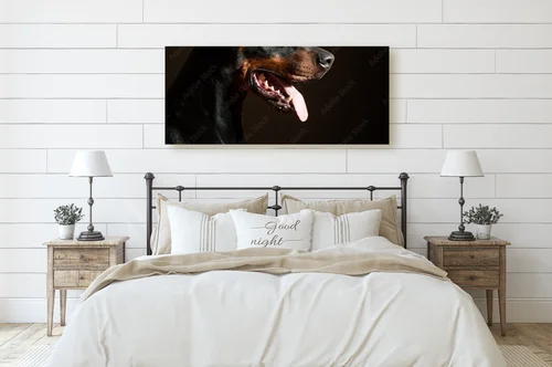 Potężny Dobermann w intensywnych odcieniach czerni