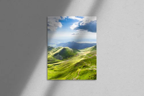 Ożywiała natura w pastelowych barwach