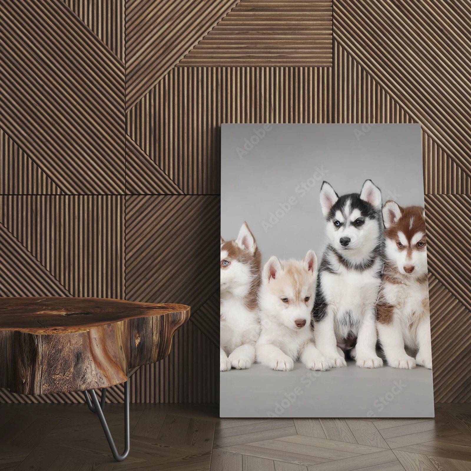 Urok urokliwego szczeniaka Siberian Husky