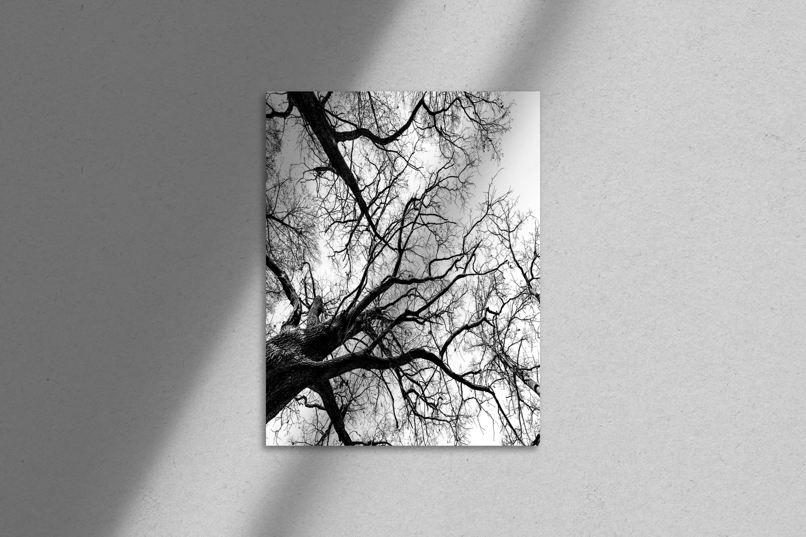 Nostalgiczne lasy w monochromatycznej stylistyce