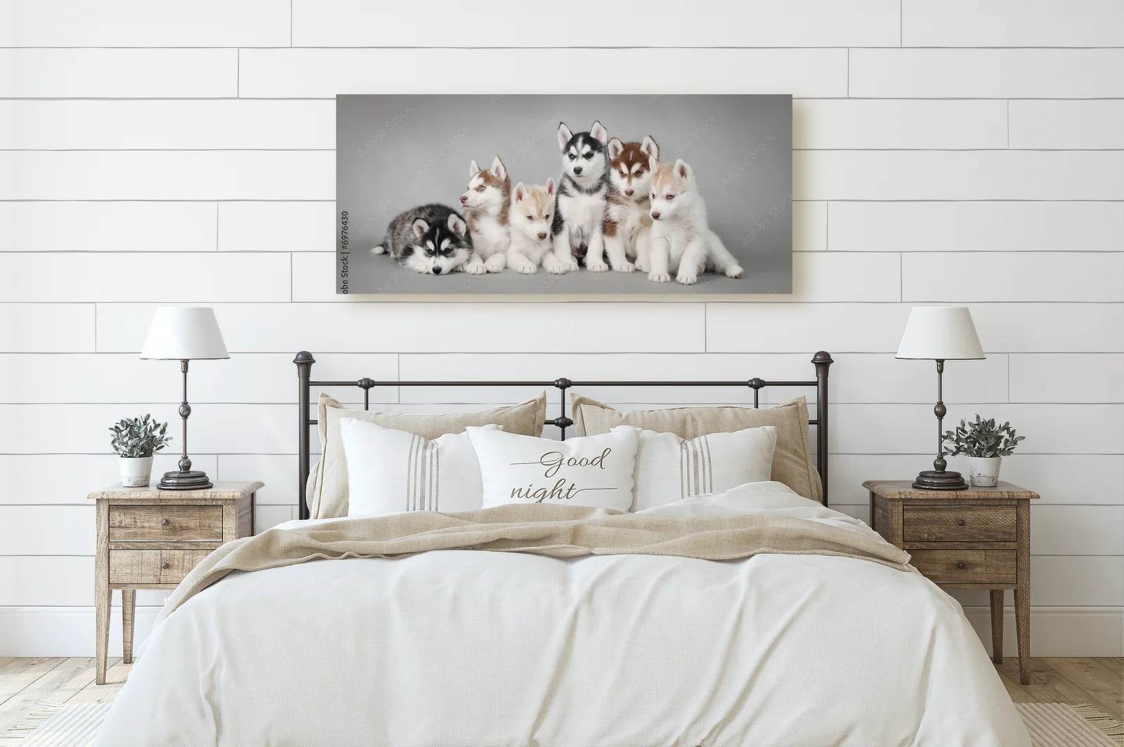 Urok urokliwego szczeniaka Siberian Husky
