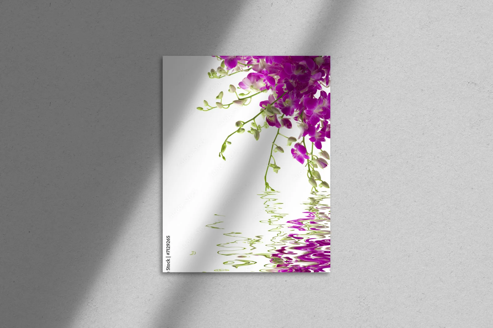 Eleganckie Orchidee w Baśniowej Bieli