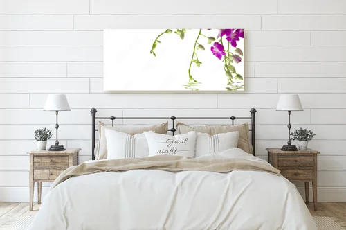 Eleganckie Orchidee w Baśniowej Bieli