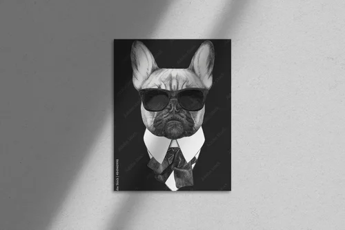 Wygodny styl w czerni: francuski buldog w modzie
