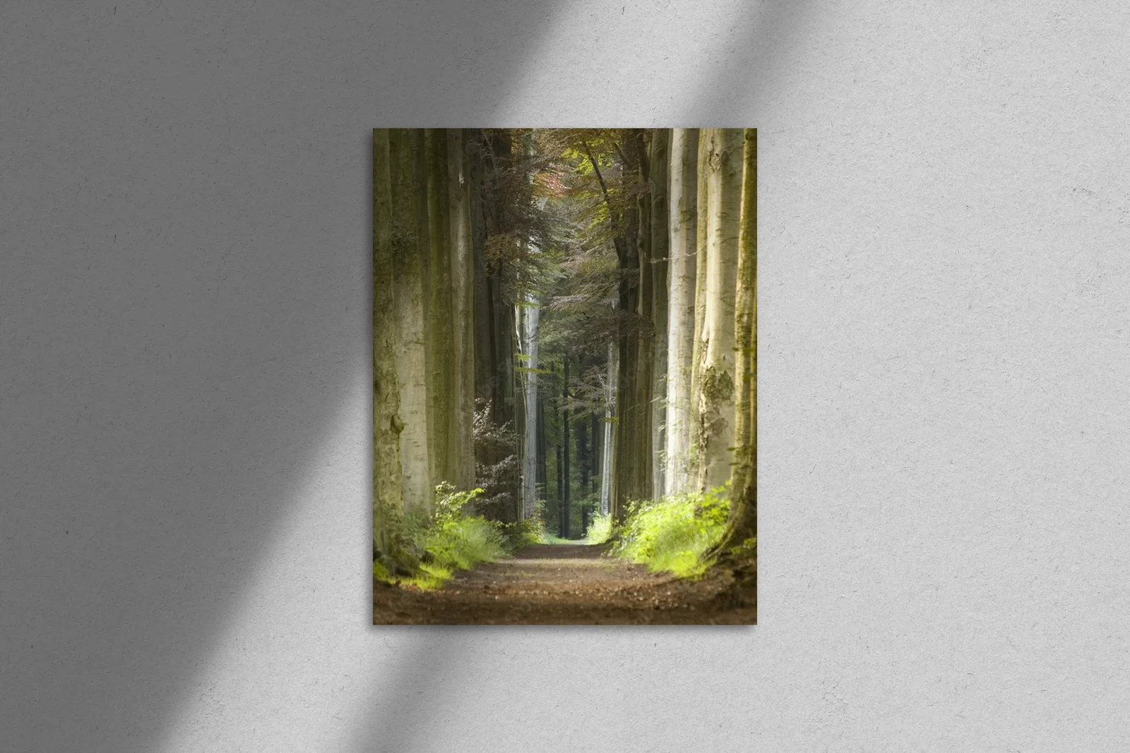 Tranquil Nature Pathway w bogatych odcieniach