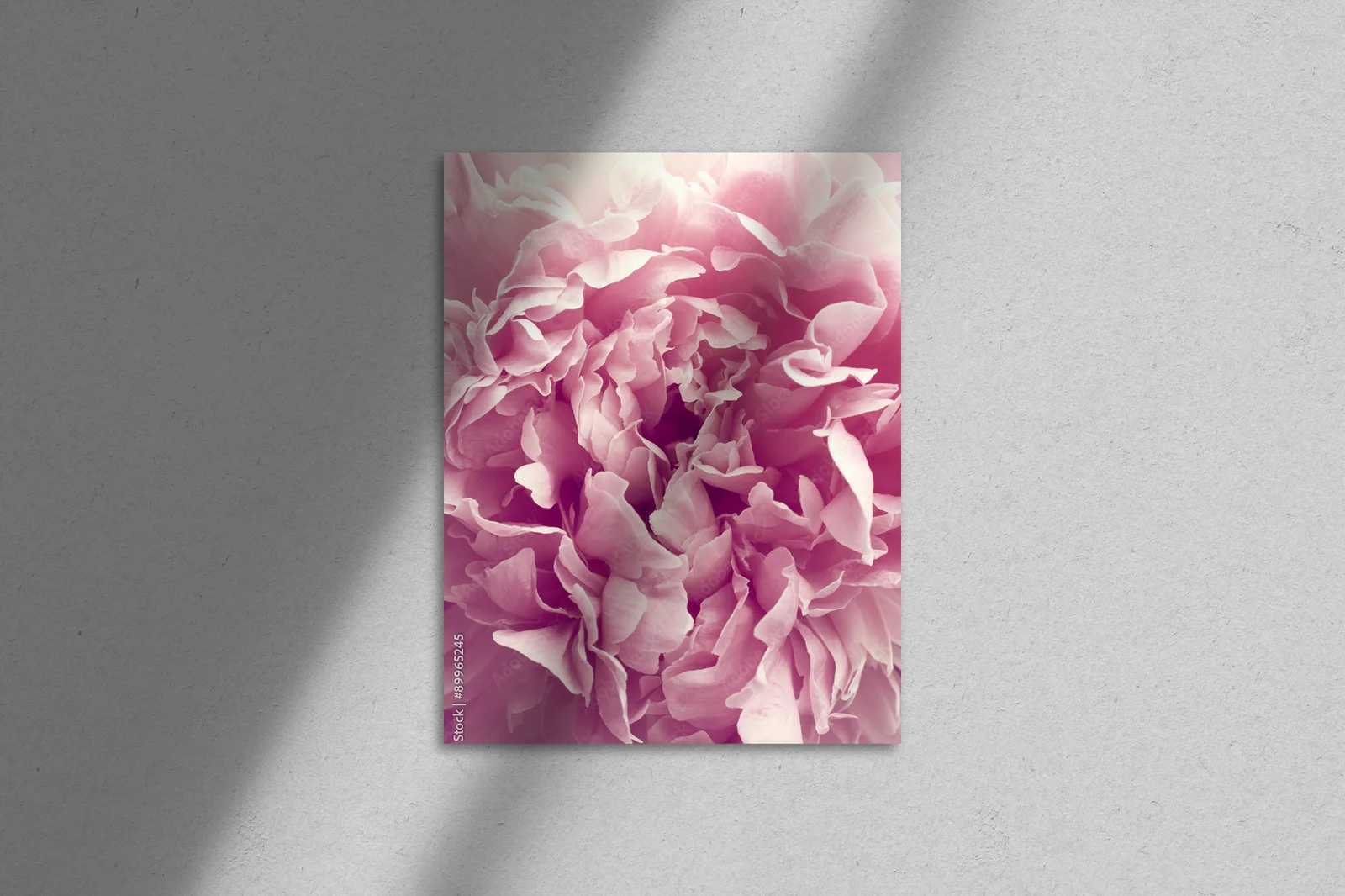 Peonie: Urok w pastelowych odcieniach natury