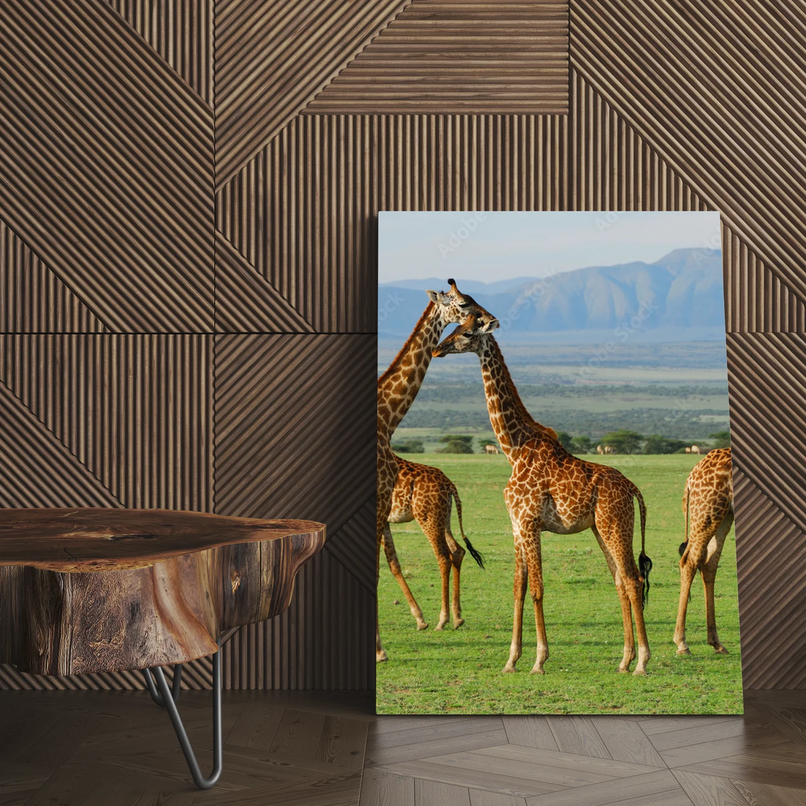 Giraffy w harmonii afrykańskiej sawanny