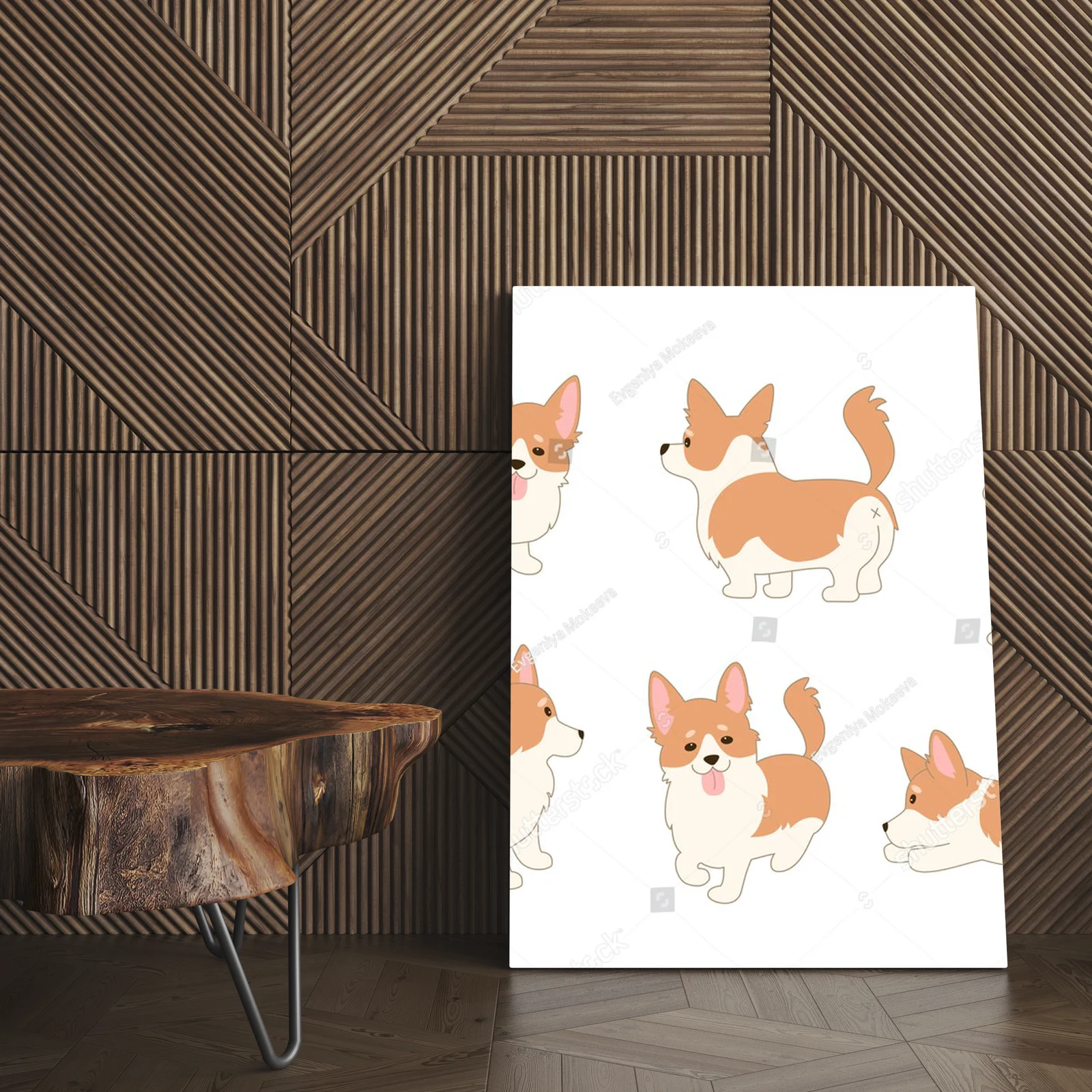 Urocze koronkowe corgi w aksamitnej bieli