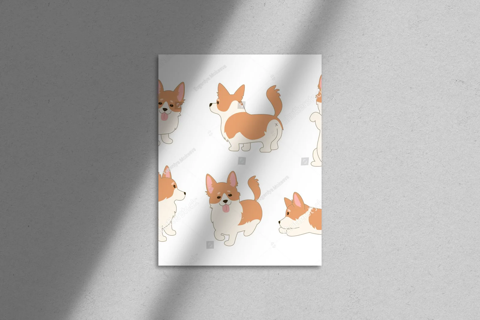 Urocze koronkowe corgi w aksamitnej bieli