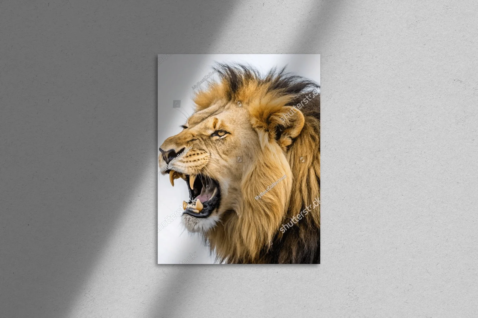 Władca sawanny: Roaring Lion w emocjonalnej aranżacji