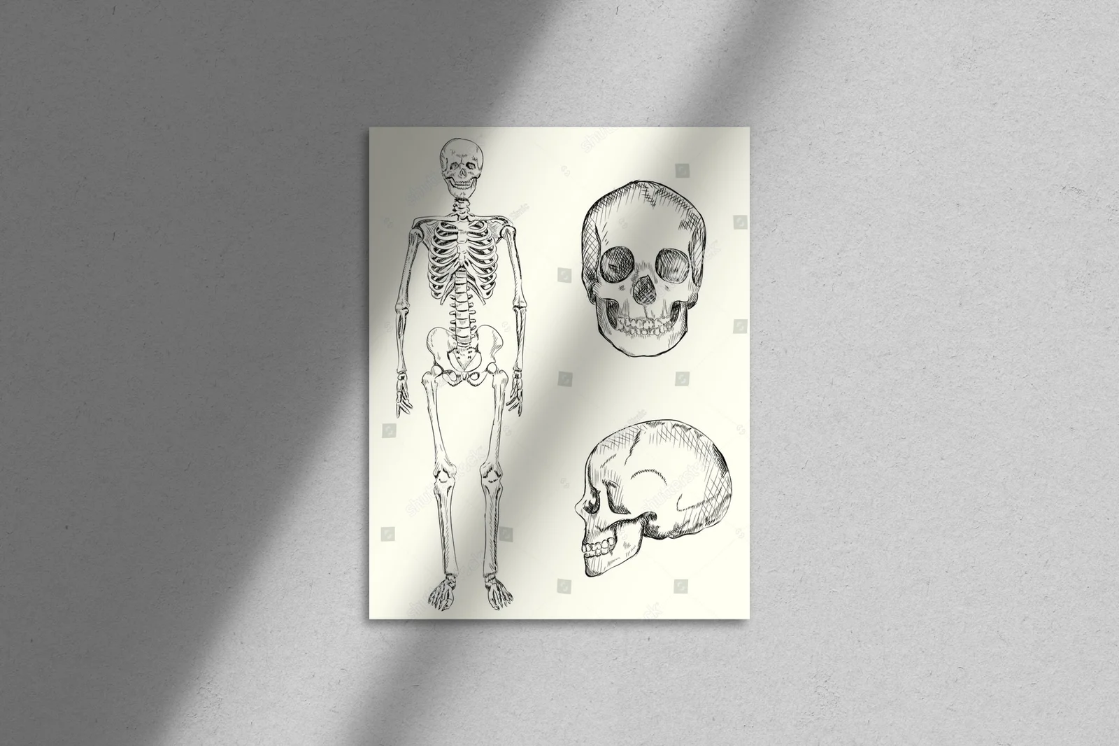 Wizjonerska ilustracja ludzkiego szkieletu