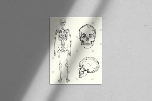 Wizjonerska ilustracja ludzkiego szkieletu
