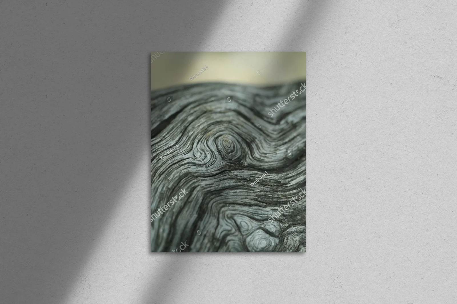 Natura zamknięta w drewnianych spiralach